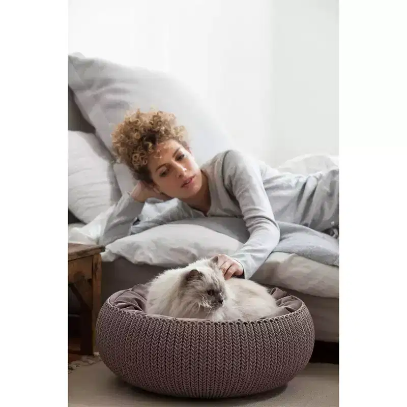 Keter by Curver Knit Cozy Resin Plastic Pet Bed with Cushion, Small Dogs to Medium Cats, Sandy Beige