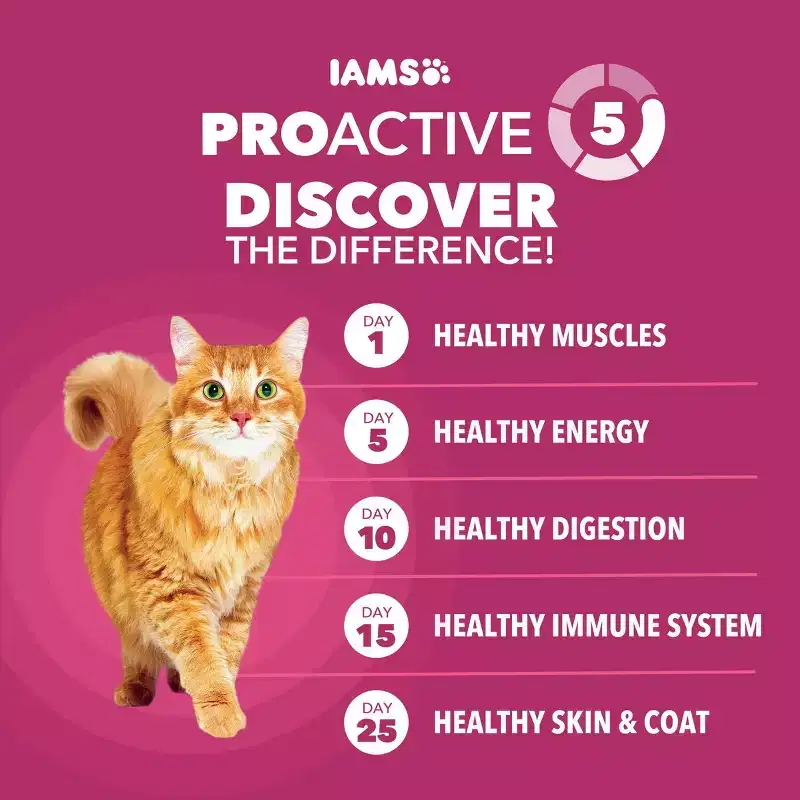IAMS Proactive Health Urinary Tract Chicken Flavor Dry Cat Food