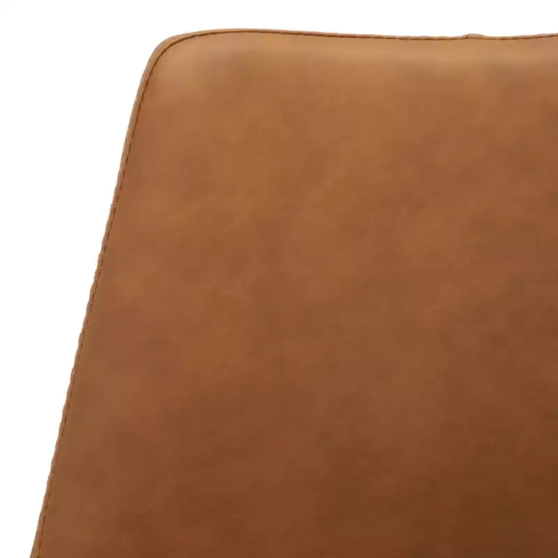 Kayne Dining Chair (Set of 2) - DCH3010 - Safavieh