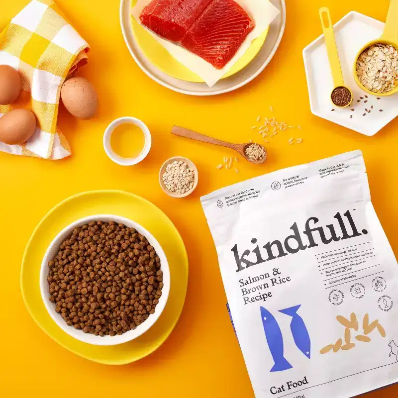 Salmon and Brown Rice Recipe Flavor Dry Cat Food - Kindfull