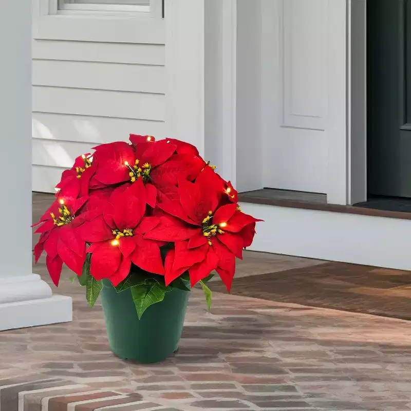 Puleo 22" Pre-Lit Battery-Operated Artificial Potted Red Poinsettias