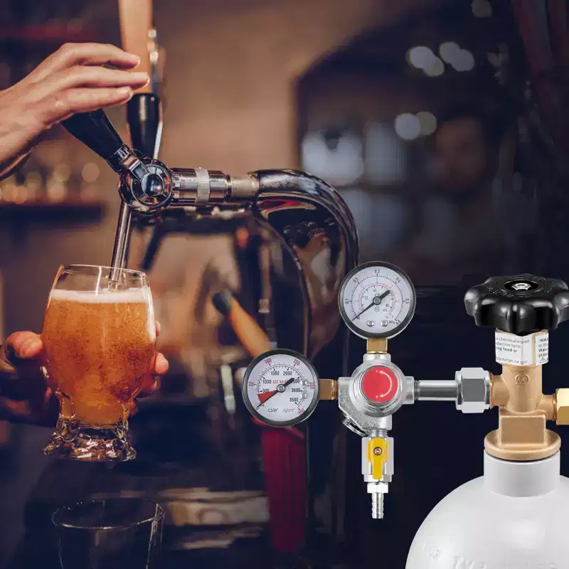 VEVOR Double Gauge Regulator, CO2 Regulator Gauge with 0-60PSI, Heavy Duty CO2 Gauge Gas System, Draft Beer Regulator with Check Valve