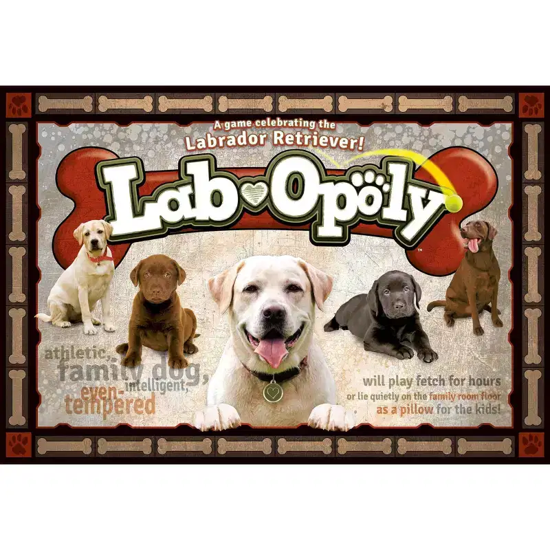 Late for the Sky: Lab-Opoly Monopoly Board Game