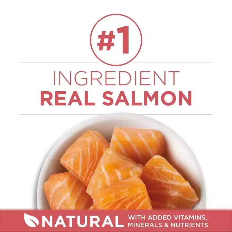 Purina ONE Indoor Advantage Healthy Weight Natural Fish, Seafood and Salmon Flavor Dry Cat Food