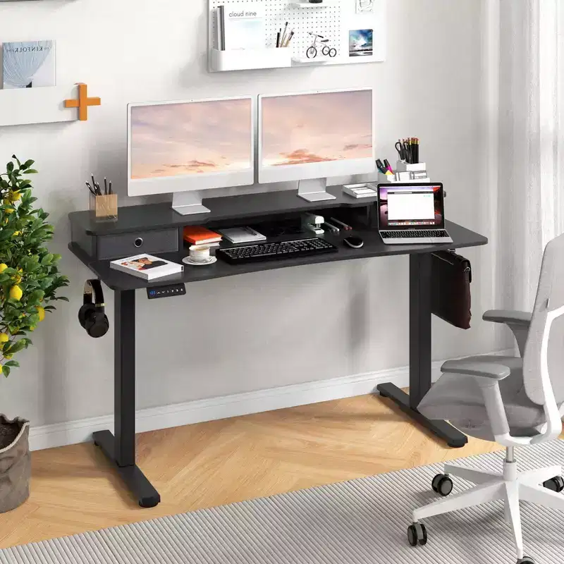 55x 24 Electric Standing Desk with 2 Drawers Monitor Stand Storage Shelf Black/White/Brown