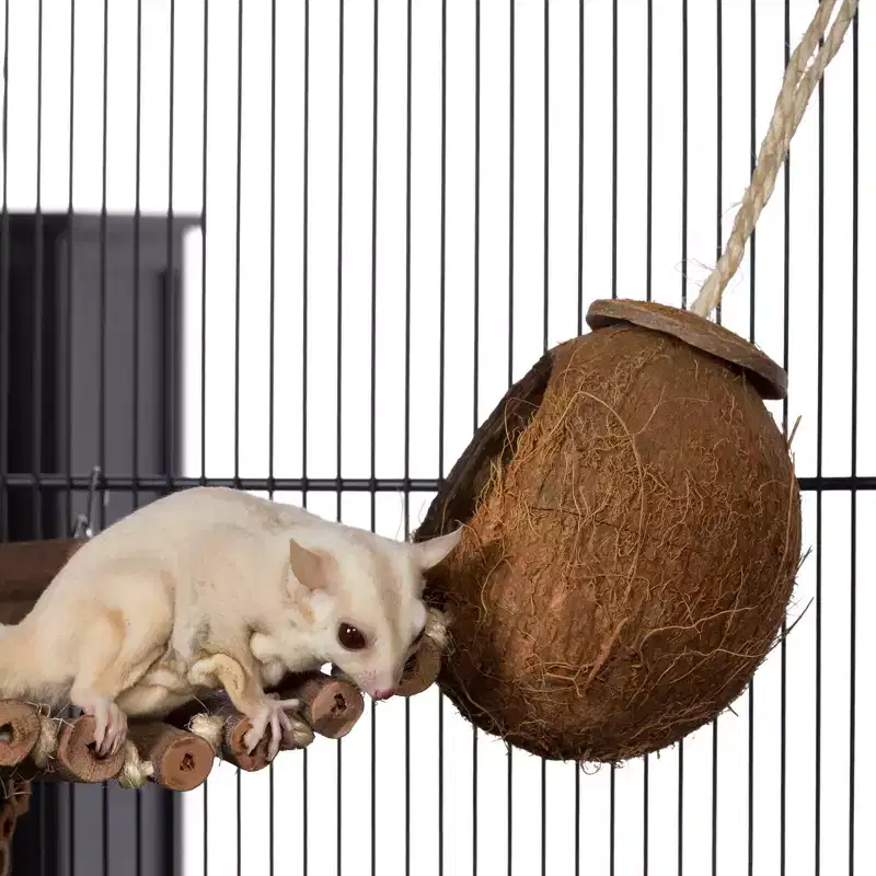 Coco Hideaway w/Bird Ladder Naturals Forage & Engage Bird Toy
