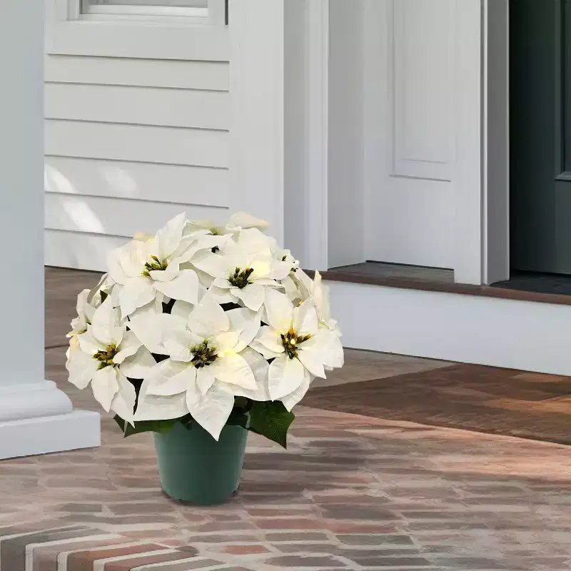 Puleo 19" Pre-Lit Battery-Operated Artificial Potted White Poinsettias