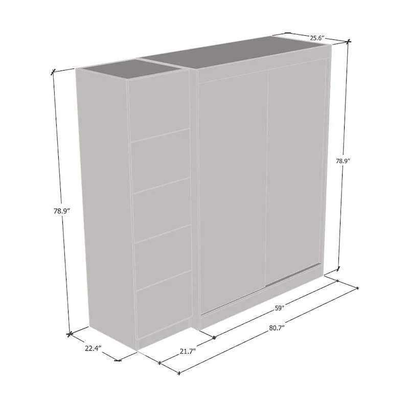 2-Door Wardrobe with Mirror, Glass Front, 2-Person (Gray / Black / White)
