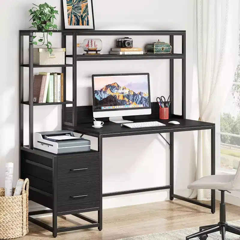 Lantine 55 Inch Computer Desk with 2 Drawers and Storage Shelves