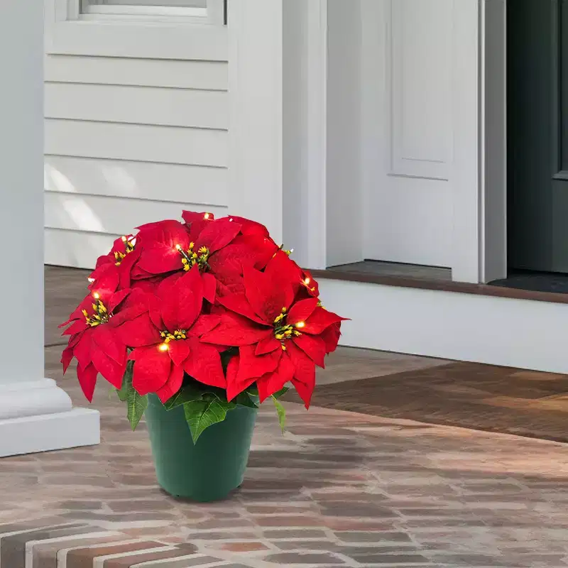 Puleo 19" Pre-Lit Battery-Operated Artificial Potted Red Poinsettias