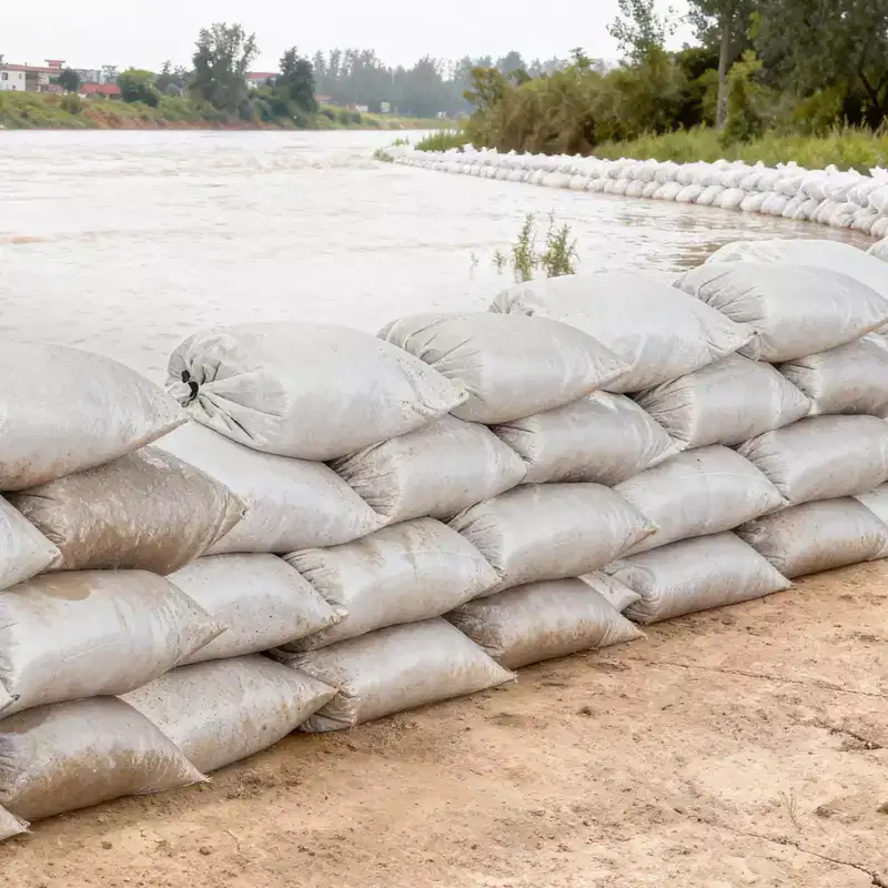 VEVOR Heavy Duty Sand Bags, 50Pack 16 x 26, Empty Sandbags for Flooding with Tie Strings, Woven Polypropylene Sand Bag, White